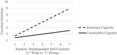 Unveiling the Impact of Smokers’ Self-Construals on the Effectiveness of Smoking Cessation Campaigns: A Comparative Analysis of E-Cigarettes and Combustible Cigarettes